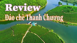 Khám phá Đảo chè Thanh Chương Nghệ An| Nam Đàn Quê Tôi