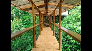 Hidden Treehouse Community- Costa Rica