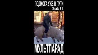 Укропы-резервисты. Shorts 71. Смешные видео. МУЛЬТПАРАД COMEDY.