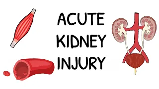 Acute Kidney Injury - Simple and easy to understand