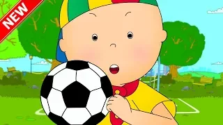 Caillou en Español | Caillou y el Fútbol | Dibujos Infantiles Capitulos Completos