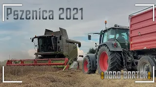 ⬛Żniwa pszenicy 2021 z Tucanem ⬛Claas & Fendt🔥VIXA🔥Lato 2021⬛Usługi Kurlapski🔥