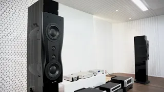 Dynaudio C2 Platinum