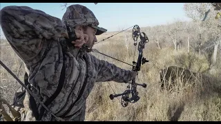 HOG INTERVENTION on the PUBLIC LAND DEER HUNT | Bowhunting in Texas | RECOVERY and TRACKING TIPS