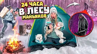 24 ЧАСА В ЛЕСУ МАНЬЯКОВ С КОТАМИ И СОБАКОЙ | НАШЛИ УЛИКИ!