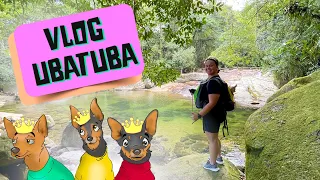 Chegamos em UBATUBA - SP | Viagem com  pets by Pequenos Príncipes