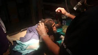 BABY CHIMPANZEE RESCUE IN SIERRA LEONE