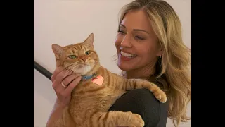 'Crazy Cat Lady' | Official Trailer