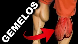 Entrenas MAL tus PANTORRILLAS. Aprende cómo ENTRENAR tus GEMELOS de forma correcta