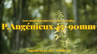 Angénieux 45-90mm f2.8