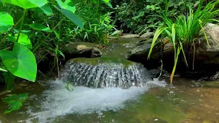 Beautiful small waterfall 4k - gentle mountain river sounds. Relaxing sounds, white noise for sleep