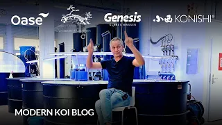 Modern Koi Blog #6022 - Wieviel Salz braucht es bei erhöhten Nitritwerten?