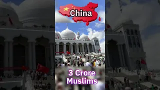 10 Non Muslim Countries With Largest Muslim Population #shorts #viral #youtubeshorts