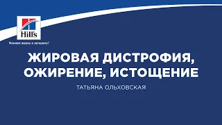 Вебинар на тему: «Жировая дистрофия, ожирение, истощение – патологическая анатомия».