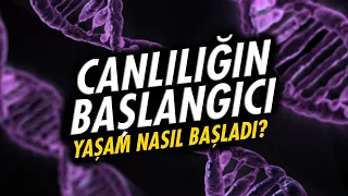 Canlılığın Başlangıcı: Nasıl ve Ne Zaman?