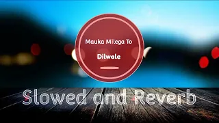 Mauka Milega To Hum Bata Denge - (Slowed + Reverb) | Lyverb | Dilwale Movie Song | Tumhe Kitna Pyar.