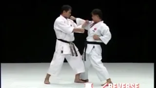 Heiku Bunkai Kata