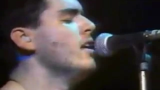 NOFX - Moron brothers (live)