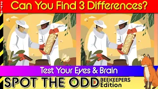 Find the Difference [ BEEKEEPERS ] Brain Break | Game 273