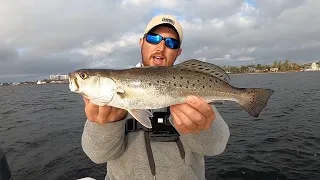EASIEST CATCH AND COOK *** Speckled Trout *** DELICIOUS!!