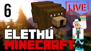 MEGTALÁLTUK A PANDÁT!! 🐼 ÉLETHŰ MODOLT Minecraft 6. rész