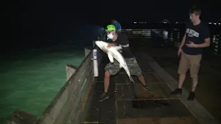 A day at the Galveston fishing pier