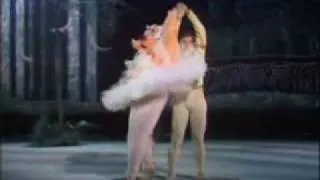 Swan Lake Nureev with Pig vk