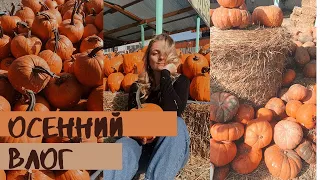 УЮТНЫЙ ОСЕННИЙ ВЛОГ 🍁ИКЕА,Тыквенный рай ,Покупки для декора ❤️