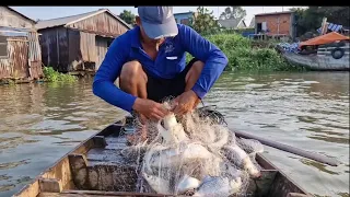 chài trúng cá cóc cá dảnh mè dinh cá sửu cả nhà ơi cảm ơn Mọi người rất là nhiều