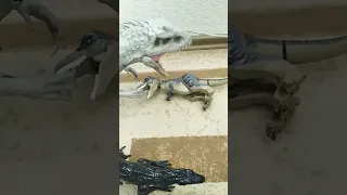 Индоминус рекс помог Индораптору!❤️🦖😁