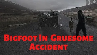 Bigfoot In Tragic Accident! (True Story)