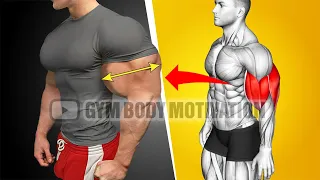 World's Best Biceps and Triceps Workout For Bigger Arms