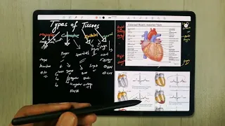 How To Make Notes On Samsung Notes in Samsung Galaxy Tab S8 Plus - With S Pen