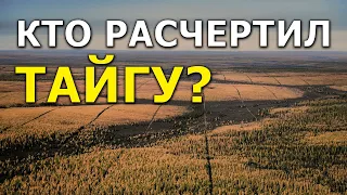 Кто расчертил тайгу? Андрей Кадыкчанский