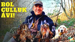 Çulluk Avı | Bol Fermalı Av | Tahtalı Sürüleri | Hunting Woodcock