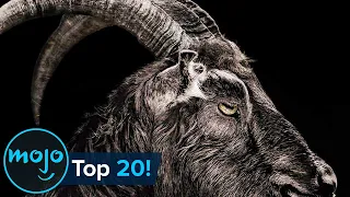 Top 20 Terrifying Horror Movie Animals