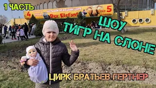 Цирк братьев Гертнер в Бишкеке, часть 1. Шоу тигр на слоне.