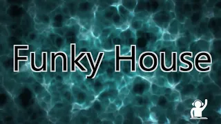 🎧Funky House 147🎧☀SubSoul☀🎵🎶