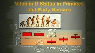 Results of a Prostate Cancer/Vitamin D Trial: Effectiveness Safety Recommendations