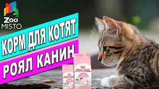 Корм для котят Royal Canin Mother and Babycat | Обзор корма для котов | Royal Canin review