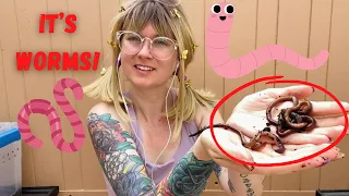 The best worm facts!