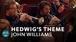 John Williams - Hedwig's Theme (Harry Potter) | Funkhausorchester 