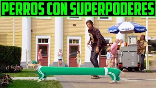 LOS PERROS OBTIENEN SUPERPODERES DE HOMBRE ELASTICO - SUPER BUDDIES - RESUMEN EN 12 MINUTOS