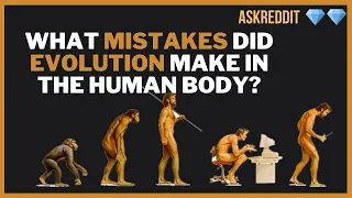 What mistakes did evolution make in the human body? AskReddit
