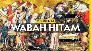 Wabah Maut Hitam, Pandemi Paling Mencekam Sepanjang Sejarah Dunia! - Wabah Black Death