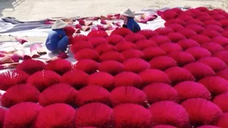 Aromas in pink: Vietnam's 'incense village' preps for Lunar New Year