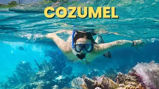 The BEST Way To Visit Cozumel, Mexico! Snorkeling at El Cielo