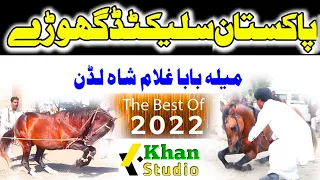 Best Horses Dance in1 day Mela Ghulam Shah luddan vehari 2022||Best Selected Horses|khan studio 2022