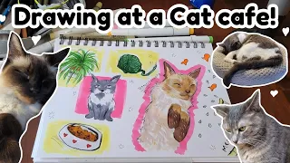 Draw with me at the Cat cafe! Featuring cute cats!
