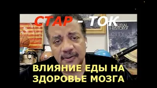 Как правильно кормить мозг? СТАР-ТОК с Нилом деГрасс Тайсоном. Перевод STAHANOV2000.